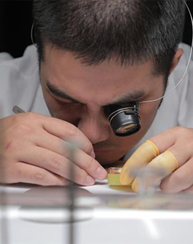 梅森·威廉姆斯-郑州宝玑维修服务中心制表师